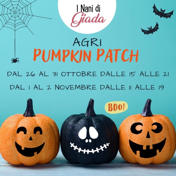 Copia_di_Copia_di_pumpkin_patch_2023